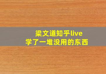 梁文道知乎live 学了一堆没用的东西